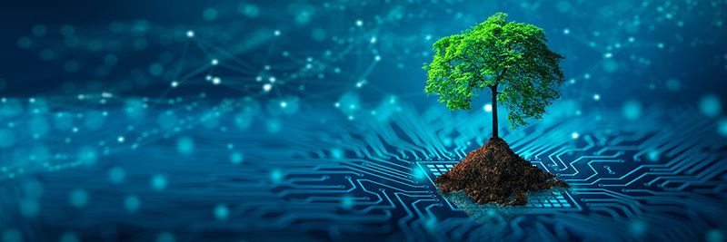Der Energiebedarf für Datenspeicherung und den Betrieb von ITK-Services ist immens – die Nutzung „grüner Clouds“ könnte helfen, den CO2-Fußabdruck zu reduzieren.