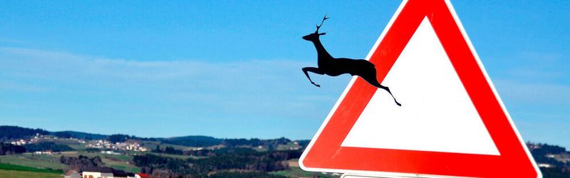 Ein Pradigmenwechsel , gar ein Kulturwechsel steht an - mit einigen Überraschungsmomenten.