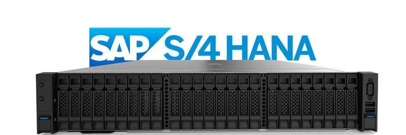 Die SAP-S/4HANA-Komplettlösung für das eigene Rechenzentrum baut auf Servern von Inspur auf, die DexxIT als Distributor des Herstellers beisteuert.