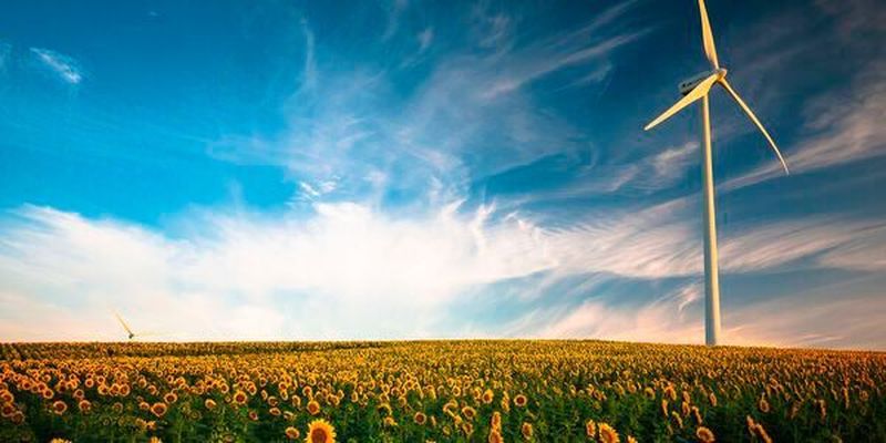 Unser globales Ökosystem wird durch den Klimawandel, den Rückgang der Artenvielfalt und viele weitere Faktoren bedroht. Das Startup Factor Eleven ruft mit seiner Kampagne zum Handeln auf.