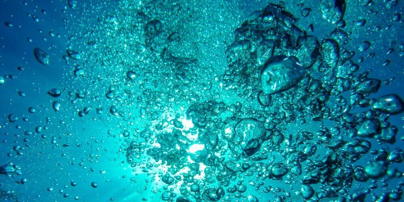 Wie sich Zeit für Zellen aufhalten lässt – schweres Wasser lässt biologische Uhren langsamer ticken. (Symbolbild)