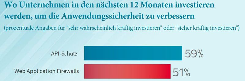 Mit Blick auf die Anwendungssicherheit wollen viele Unternehmen in API-Schutz und Web Application Firewalls investieren.