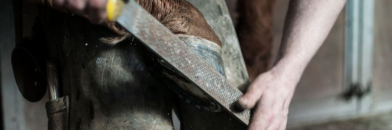 Es gibt Lebensbereiche, da ist Handwerk unersetzlich; die IT gehört nicht dazu.