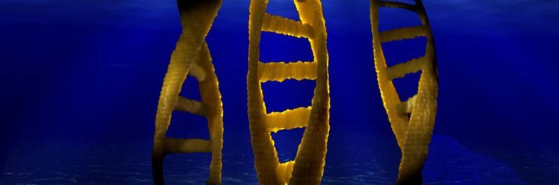 DNA ist der Speicher genetischer Information. Doch extrazelluläre DNA dient auch Mikroben im Meeresboden als Nahrungsgrundlage (Symbolbild).