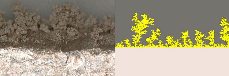 In-situ-Lithium-Dendritenwachstum während der elektrochemischen Lithiumabscheidung, visualisiert mit dem Lichtmikroskop (links, Quelle: fem|Forschungsinstitut Edelmetalle + Metallchemie). Simuliertes Dendritenwachstum des Fraunhofer IEE (rechts).
