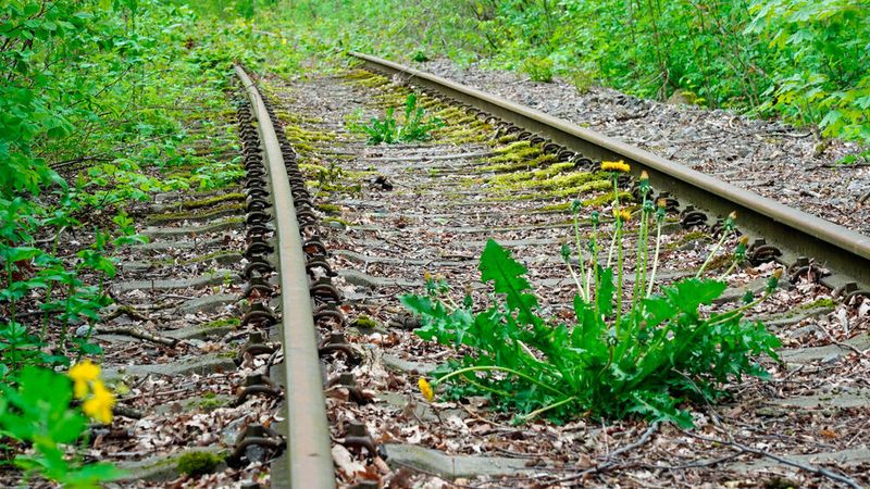 Die Deutsche Bahn möchte ihr Streckennetz um insgesamt 245 Kilometer erweitern.