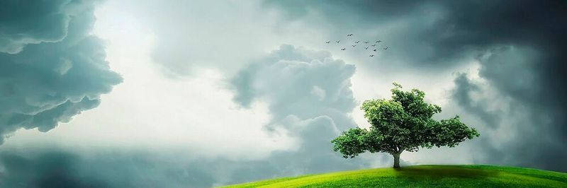 Kontra Klimaextreme: Mit einem ambitionierten Plan will EU-Kommission den Kampf gegen den Klimawandel aufnehmen – und gleichzeitig die europäische Wirtschaft zukunftsfähig aufstellen.