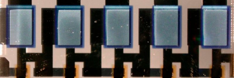 Neue Elektronikzukunft: Ein Forscher-Team der TU Dresden hat unter anderem 5-stufige komplementäre Ringoszillatoren entwickelt, die aus organischen sowie permeablen Basistransistoren bestehen.