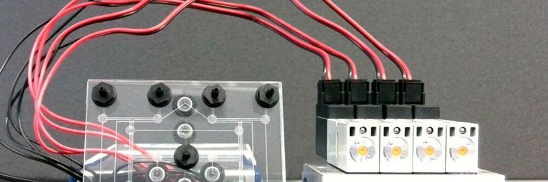 Testaufbau: Ein pneumatischer Arbeitsspeicher steuert die Bewegungen eines Soft-Roboters.