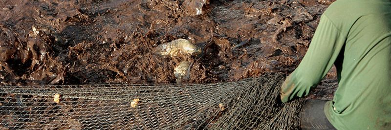 Wenn sich der Data Lake zum Datensumpf entwickelt, wird es nahezu unmöglich, die gesuchten Informationen herauszufischen.