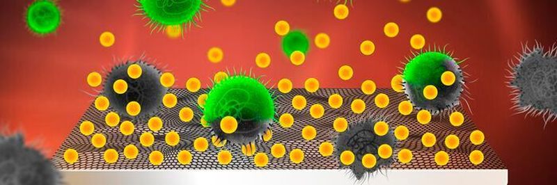 Usnic acid (yellow) is integrated in and released from the implant’s graphene coating. The usnic acid kills the bacteria (green) and thereby prevents them from forming infectious biofilms on the surface.