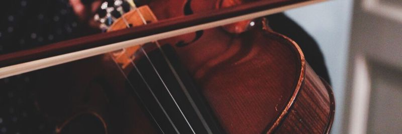 Der Klang einer Geige hängt nicht nur vom Können des Musikers ab, sondern auch von Bauform und dem Holz des Instruments.