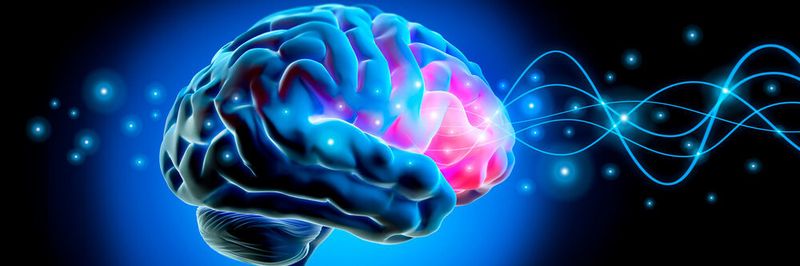 Die Lernmethoden des Deep Learnings funktionieren ähnlich wie das menschliche Gehirn. Der Sicherheitshersteller Deep Instinct nutzt die Technologie für eine eigene Lösung.