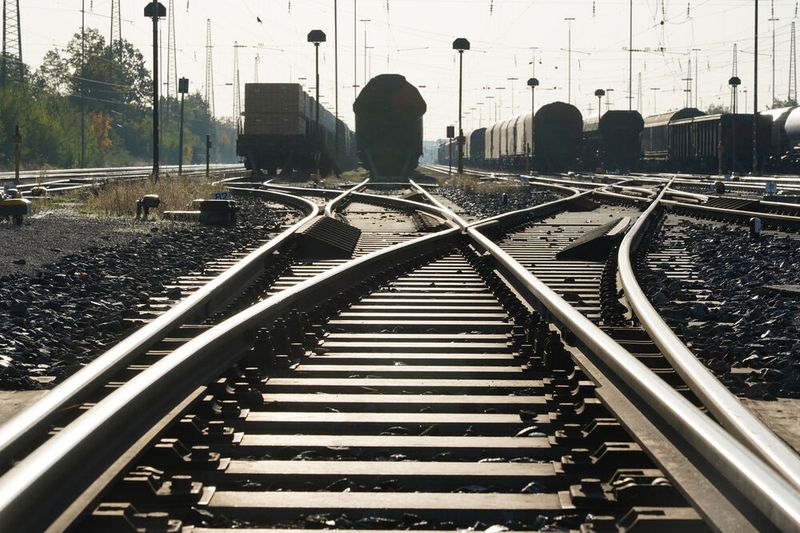 Im Vergleich zum Jahr 1955 ist das deutsche Bahnnetz um knapp 15.000 Kilometer geschrumpft, heißt es in einer Studie vom Ifo Institut.