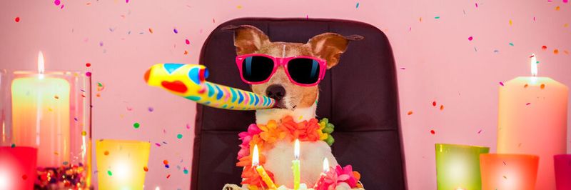 Happy Birthday, IT-BUSINESS Podcast.