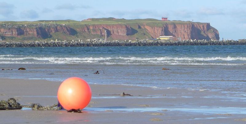 Helgoland ist Deutschlands einzige echte Hochseeinsel, bekannt eher für Seevögel, Robben und zollfreies Einkaufen als für Viren. Genau die standen jedoch im Fokus der MPI-Forschenden.