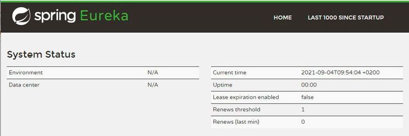 Das Eureka-Dashboard listet die registrierten Dienste auf.