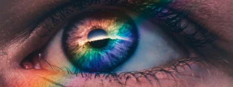 Der Mensch nimmt Informationen zu 83 % mit dem Auge auf – ein entscheidender Aspekt für den Erfolg von visuellem Management.