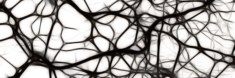Laut einer Studie von Neurowissenschftlern der Uni Wien macht die neuronale Vernetzung zwischen Hirnregionen Empathie erst möglich (Symbolbild).