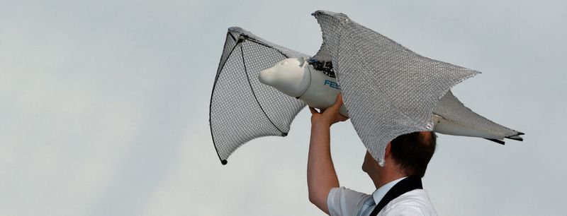 Rainer Mugrauer führt vor, wie der Flughund in die Luft geht.