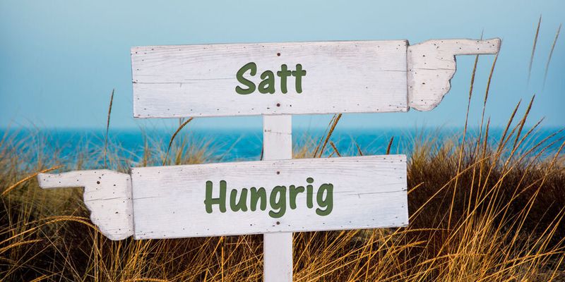 Hungrig oder satt: Auf kleinste Details kommt es an