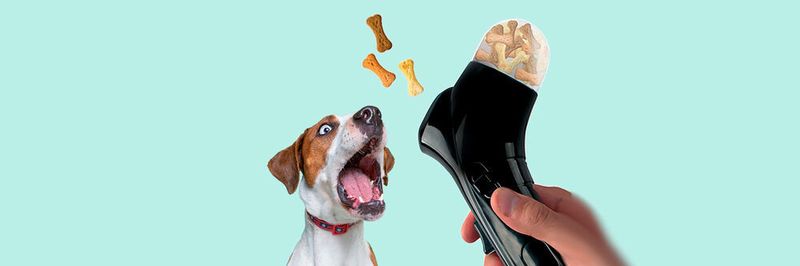 Mit guten Gadgets muss sich nicht mal der Bürohund langweilen.