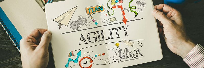 Agile Sicherheit ist eine kontinuierliche, umfassende und proaktive Methode zum Schutz von Vermögenswerten auf mikrosegmentierter Ebene.