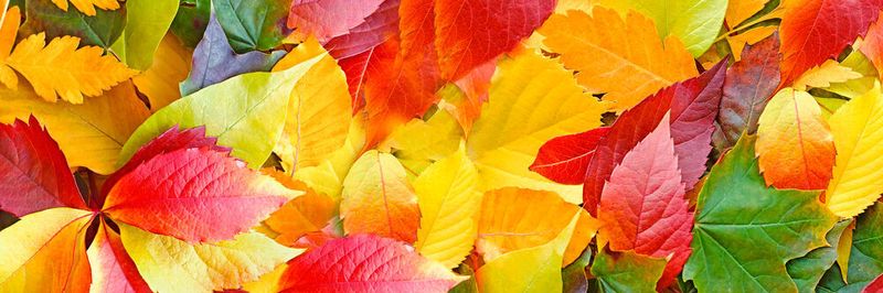 Der Herbst ist da und hat einige neue Regelungen im Gepäck