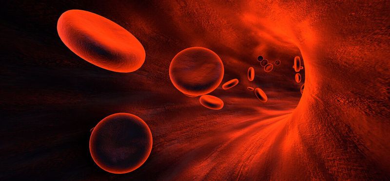 Da das menschliche Immunsystem eine hohe Toleranz für den eingesetzten Wirkstoff besitzt, könne der Nanoroboter in Fischform direkt im Blutzucker des menschlichen Organismus zur Medikamentendosierung eingesetzt werden, heißt es von den chinesischen Wissenschaftlern.