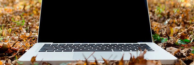 Unternehmen favorisieren den Einsatz von Open-Source-Software, um Kosten zu sparen, die Sicherheit und Kompatibilität zu erhöhen oder auch leichter Anbieter wechseln zu können.