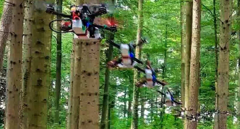 Diese Drohne fliegt mit 40 Kilometern pro Stunde autonom durch einen Wald (ihr Weg ist hier künstlich widergegeben). Forschende an der Universität Zürich (UZH) haben ihr KI-Funktionen gegeben, die sie auch durch unwirtlichste Gegenden sicher lavieren.