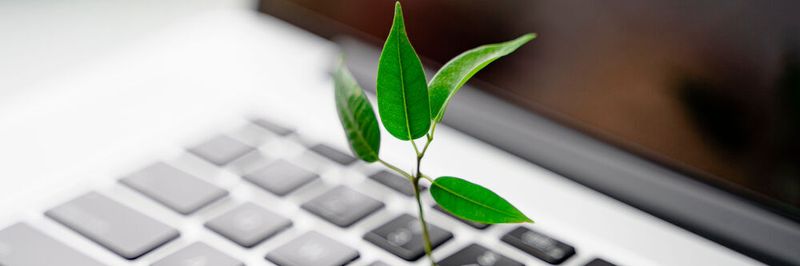 Klimakiller Internet? Laut einer aktuellen Censuswide-Studie sind Verbraucher davon überzeugt, mit einer schnelleren und zuverlässigeren Internetverbindung nachhaltiger agieren zu können.