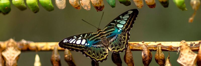 KMUs müssen keine Angst haben vor digitaler Transformation, denn in ihr steckt immens viel Potential. Sie gelingt allerdings nur, wenn die Chefetage es vormacht.