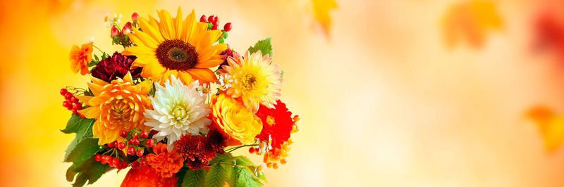 Einen Blumenstrauß an Unterstützungsmaßnahmen bietet Placetel den Partnern.