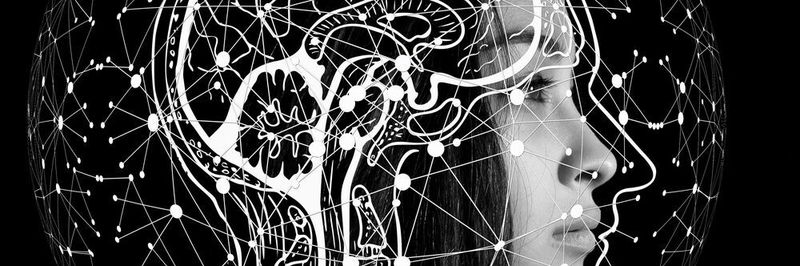 Künstliche Neuronale Netze versuchen, biologische Prozesse technisch nachzubilden.