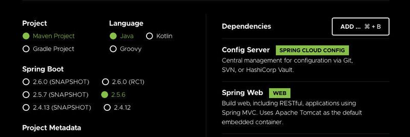 Erforderliche Abhängigkeiten zum Erstellen des Config-Servers.