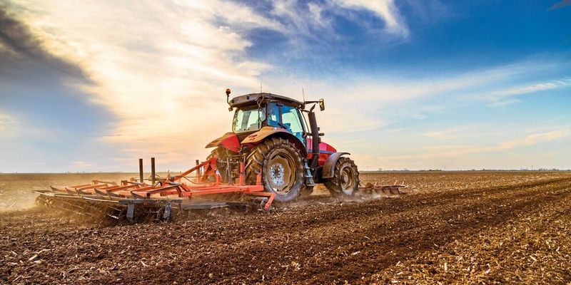 Besonders in der Landwirtschaft ist der Einsatz persistenter Kunststoffe auf fossiler Basis problematisch. (Symbolbild)