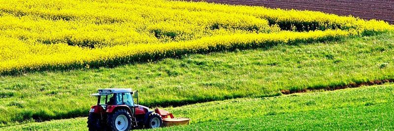 Auslöser von zu hohen Nitrat-Werten im Grundwasser sind häufig stickstoffhaltige Düngemittel aus der Landwirtschaft. (Symbolbild)