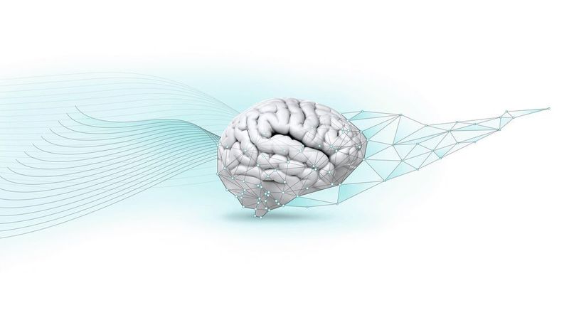 Mithilfe individuell angepasster künstlicher neuronaler Netze werden vorhandene Bewertungen genutzt, um neue Produktvarianten sekundenschnell bewerten zu können – wie das funktioniert.