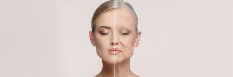 Ziel der Forschung ist die Entwicklung von Therapien zu beschleunigen, die den menschlichen Alterungsprozess und die damit einhergehenden Krankheiten aufhalten