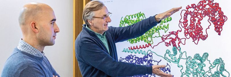 Erstautor Dr. Hristo L. Svilenov (l.) und Prof. Dr. Johannes Buchner, Inhaber des Lehrstuhls für Biotechnologie, mit einem Strukturbild eines ACE2-Dimers. ACE2 dient Coronaviren als Ankerpunkt auf Wirtszellen, um diese zu infizieren.