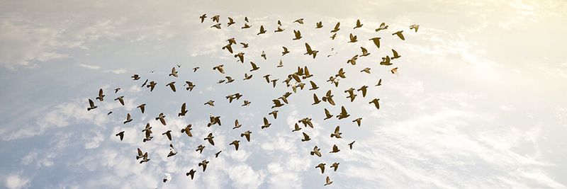 Aufstrebende Unternehmen, die eine Cloud-Nutzung in Angriff nehmen, sollten ihre Cloud-Strategie von Anfang an „global“ denken – man weiß ja nie, was noch kommt.