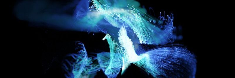 Je höher die Anforderungen, desto komplexer werden die Anwendungen zur datenbasierten Entscheidungsfindung und monolithische ERP-Systeme müssen zunehmend flexibleren Architekturen weichen.