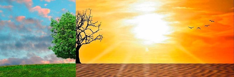 Unternehmen müssen sich auf verschiedene Cyber-Bedrohungen – direkt oder indirekt verursacht durch den Klimawandel – vorbereiten. Ein richtig gestalteter BCDR-Plan kann helfen.