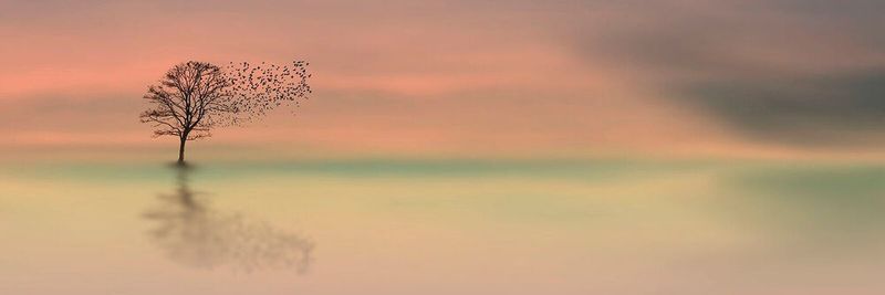 Gartner-Analysten lichten den Nebel und zaubern Morgenröte für IT-Anbieter hervor.
