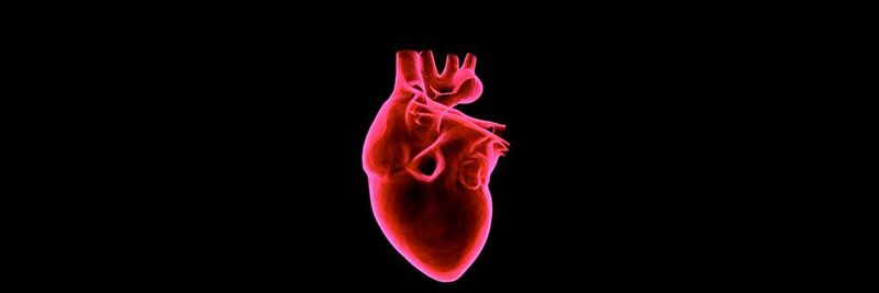 Der 3D-Biodruck profitiert von Technologien wie Tissue Engineering, synthetischer Biologie, Mikro- beziehungsweise Nanofabrikation und Biomaterialproduktion.