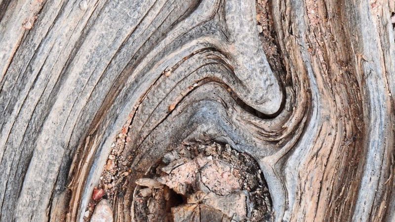 Die Weisheit der Astanbindung – wie selbstverriegelnde Faserverläufe um Einschlüsse sich selbst verriegeln und was das für die Produktentwicklung bedeutet.