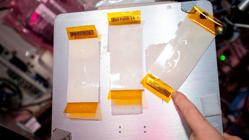In der Versuchsreihe kamen zwei unterschiedlich zusammengesetzte Biotinten sowie zwei verschiedene Druckköpfe zum Einsatz.