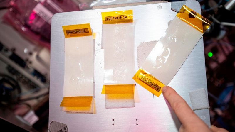 In der Versuchsreihe kamen zwei unterschiedlich zusammengesetzte Biotinten sowie zwei verschiedene Druckköpfe zum Einsatz.