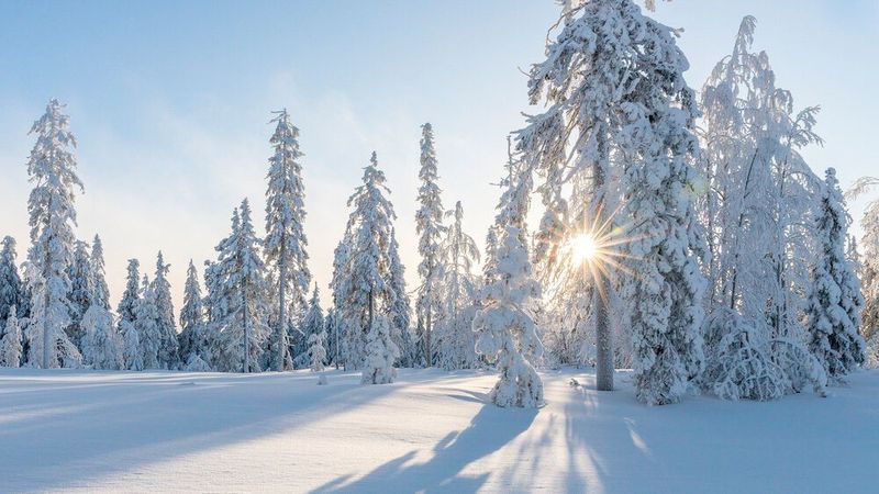 Ein kalter Winter in Europa könnte die Dynamik auf dem Energiemarkt weiter verschärfen.